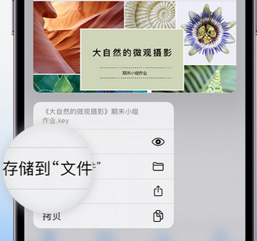 康定apple维修中心分享iPhone文件应用中存储和找到下载文件