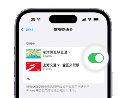 康定apple维修点分享iPhone上更换Apple Pay快捷交通卡手绘卡面 