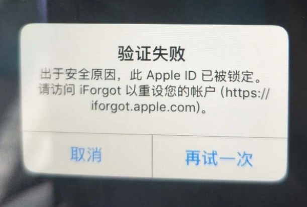 康定iPhone维修分享iPhone上正常登录或使用AppleID怎么办 