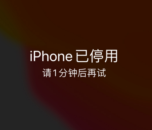 康定苹果手机维修分享:iPhone 显示“不可用”或“已停用”怎么办？还能保留数据吗？ 