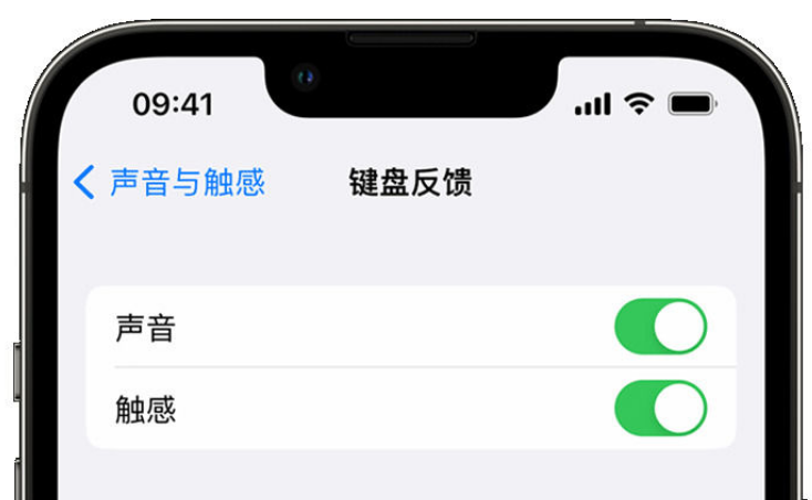 康定苹果手机维修分享iPhone 14触感键盘使用方法 