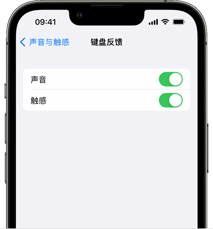 康定苹果14维修店分享如何在 iPhone 14 机型中使用触感键盘 