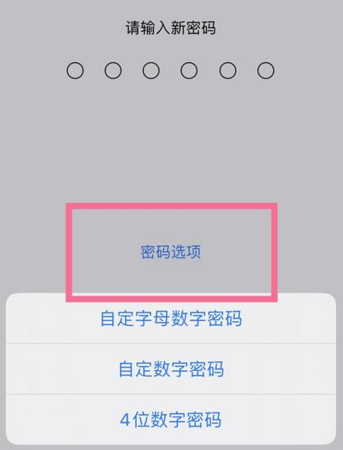 康定苹果14维修分享iPhone 14plus设置密码的方法 