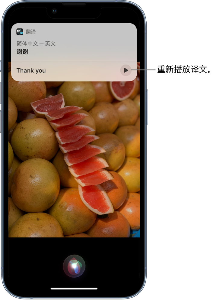 康定苹果14维修分享 iPhone 14 机型中使用 Siri：了解 Siri 能帮你做什么 