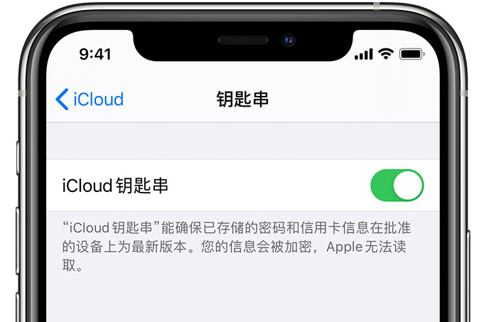 康定苹果手机维修分享在 iPhone 上开启 iCloud 钥匙串之后会储存哪些信息 