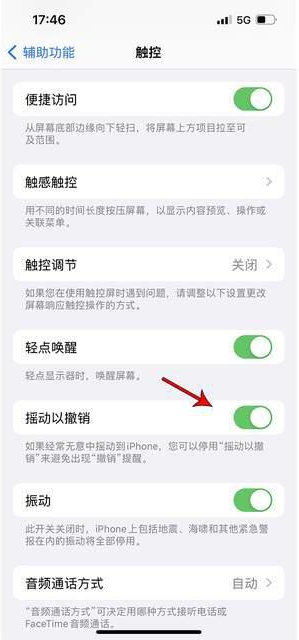 康定苹果手机维修分享iPhone手机如何设置摇一摇删除文字 