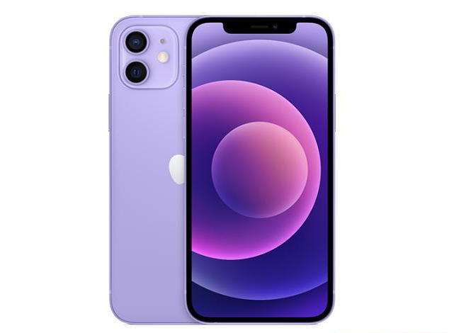 康定苹果手机维修分享现阶段要不要入手紫色版iPhone12 
